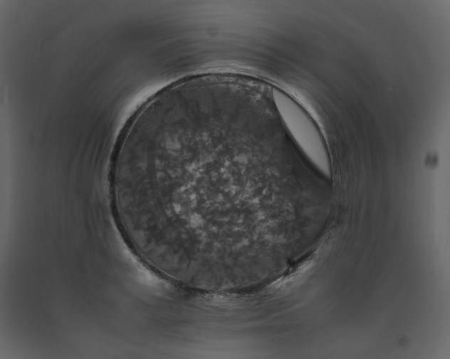 X0000091550995200708241751