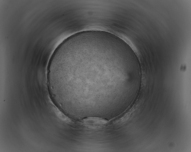 X0000091550996200708241751