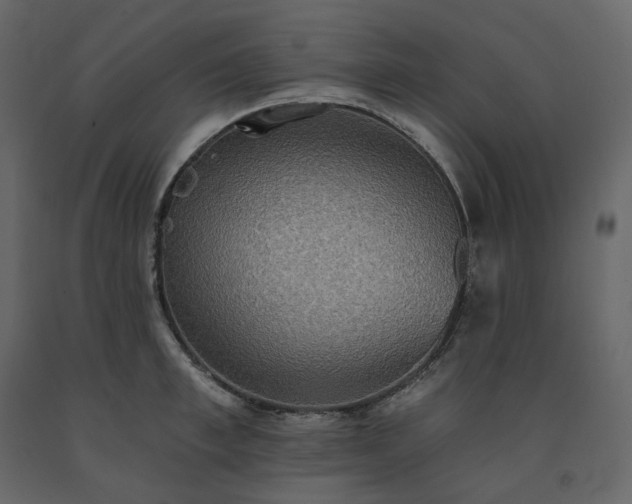 X0000091550997200708241751