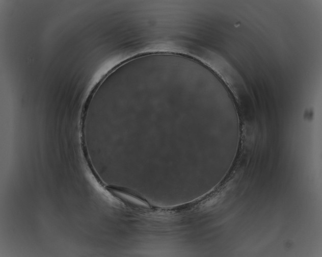 X0000091550998200708241751