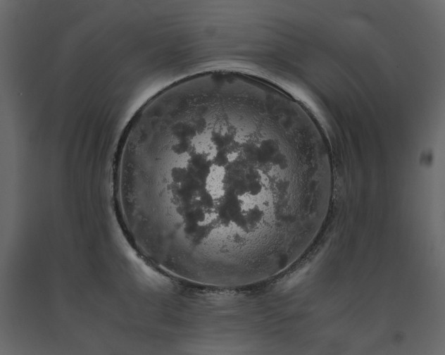 X0000091550999200708241751
