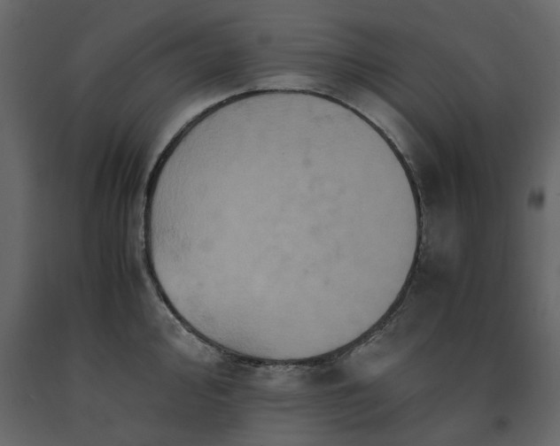 X0000091551000200708241751