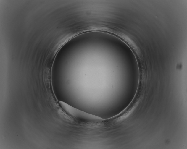 X0000091551001200708241751