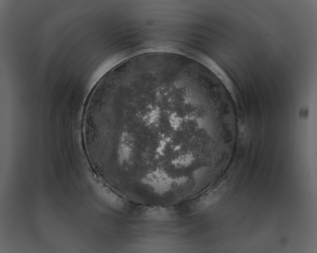 X0000091551002200708241751