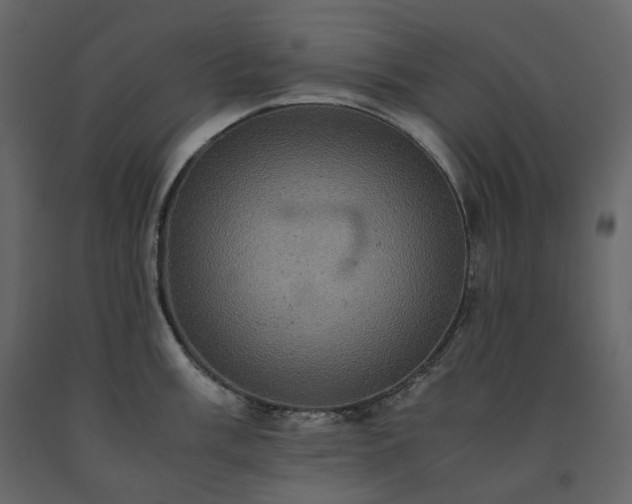 X0000091551003200708241751