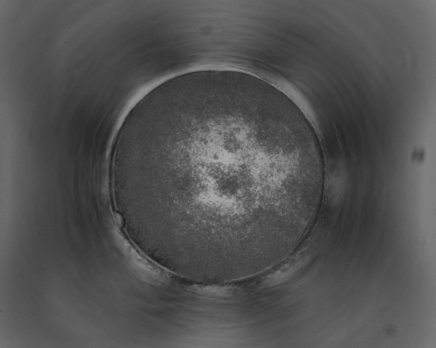 X0000091551004200708241751