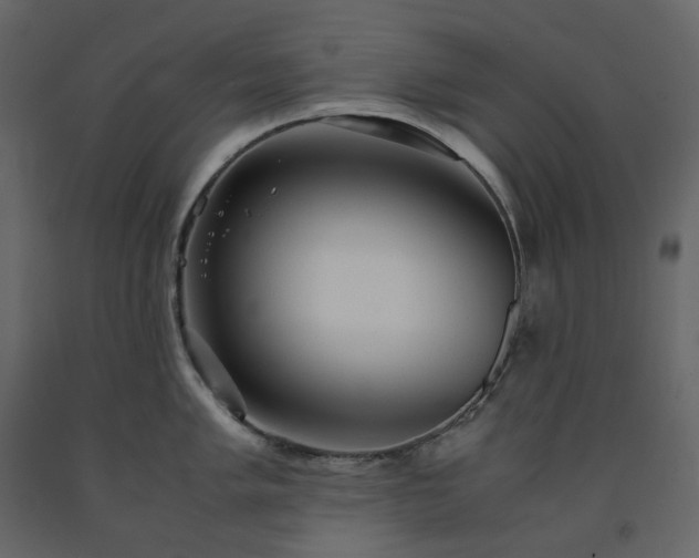 X0000091551005200708241751
