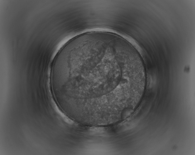 X0000091551006200708241751