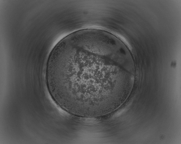 X0000091551007200708241751
