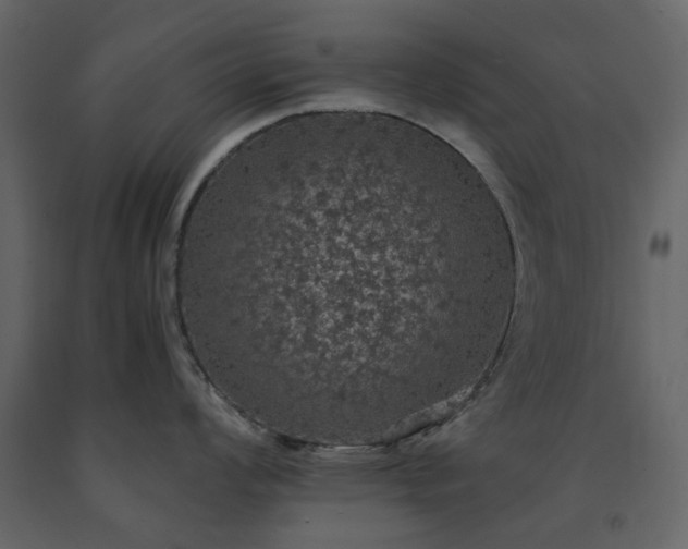 X0000091551008200708241751