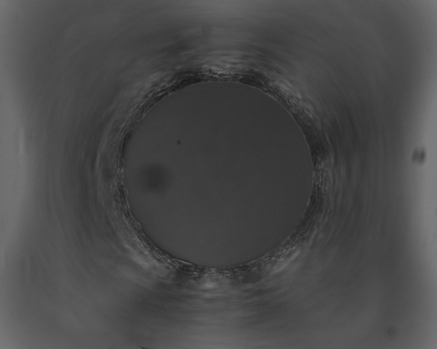X0000091551009200708241750