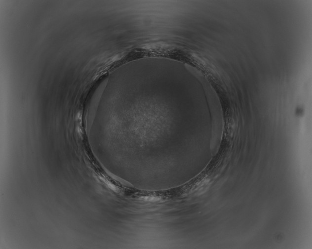 X0000091551010200708241750