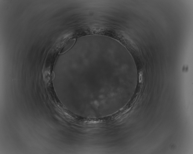 X0000091551011200708241750