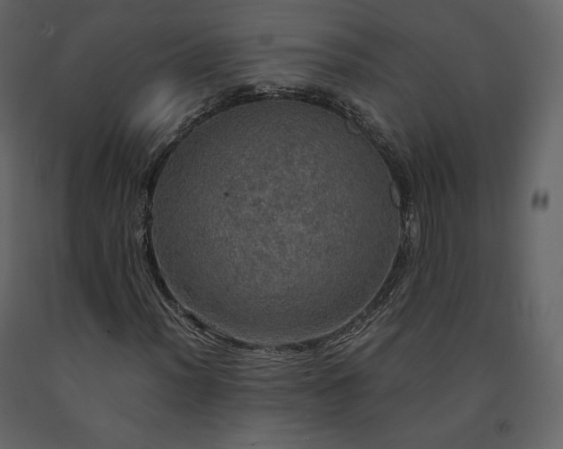 X0000091551012200708241750