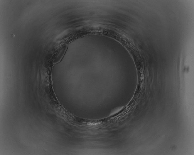X0000091551013200708241750
