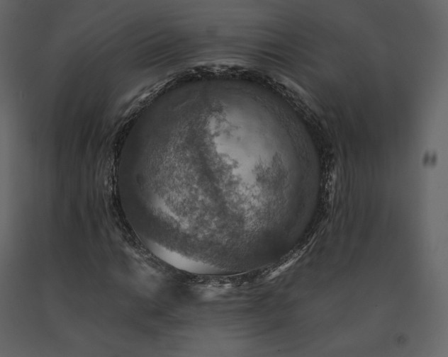 X0000091551014200708241750