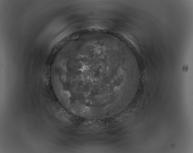 X0000091551015200708241750
