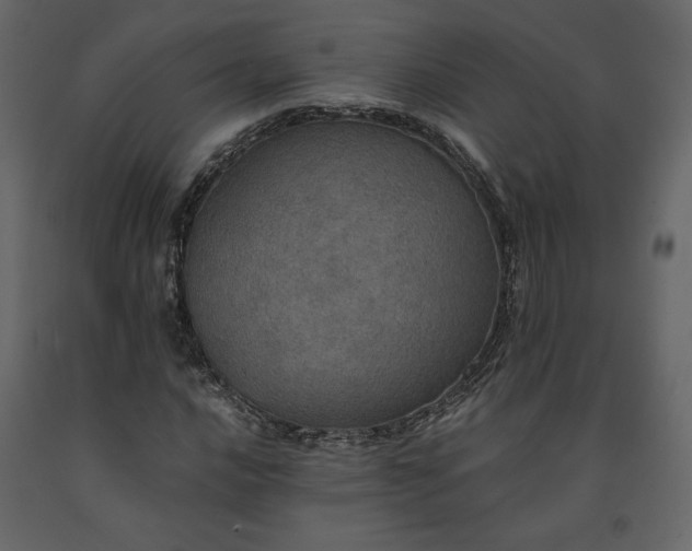 X0000091551016200708241750