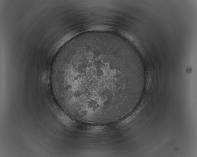 X0000091551017200708241750