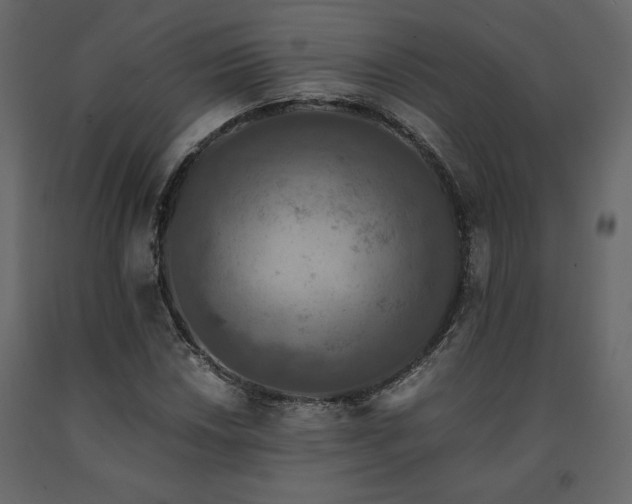 X0000091551018200708241750