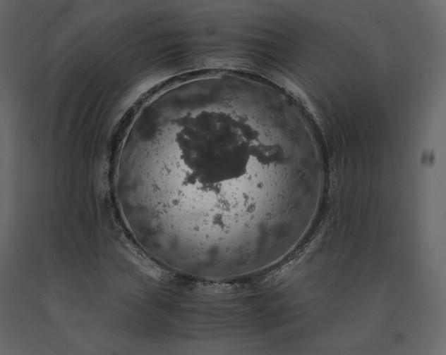 X0000091551019200708241750