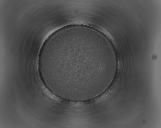 X0000091551020200708241750