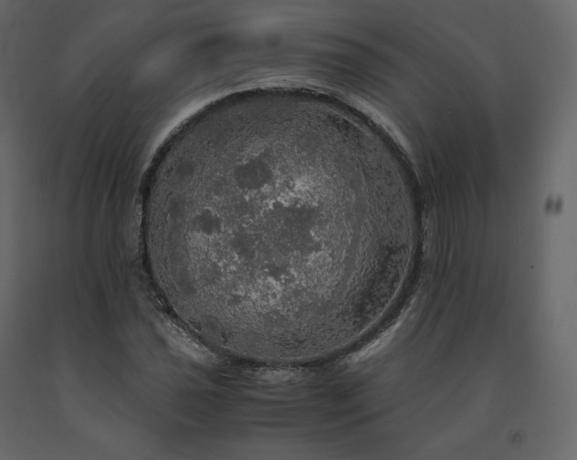 X0000091551021200708241750
