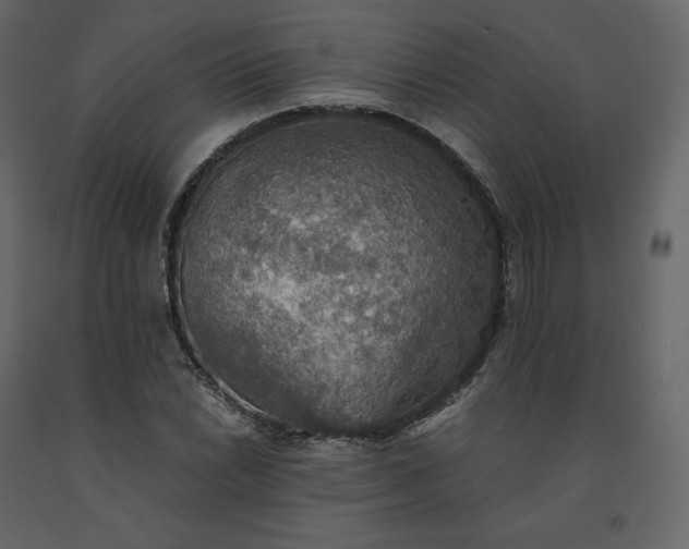 X0000091551022200708241750