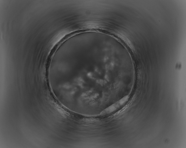 X0000091551023200708241750