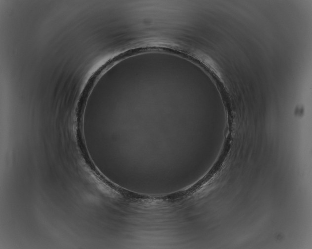 X0000091551024200708241750