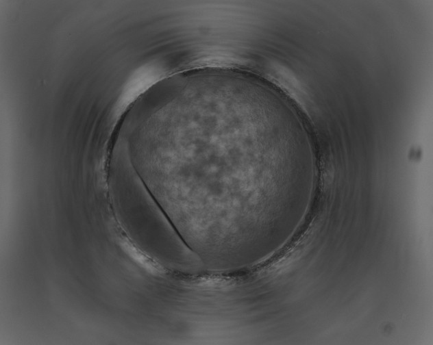 X0000091551026200708241750