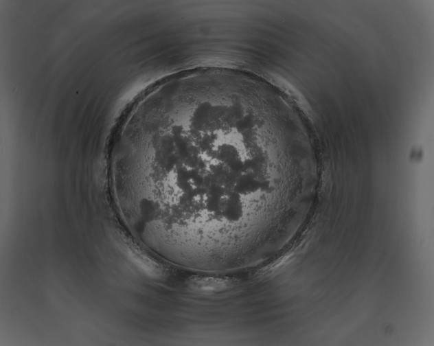 X0000091551027200708241750