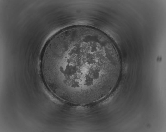 X0000091551029200708241750