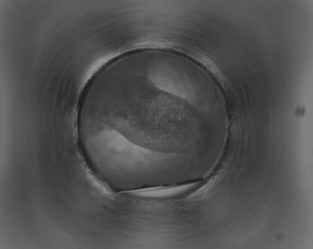 X0000091551030200708241750