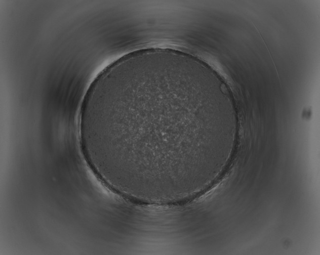 X0000091551032200708241750