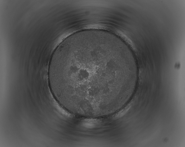 X0000091551033200708241750