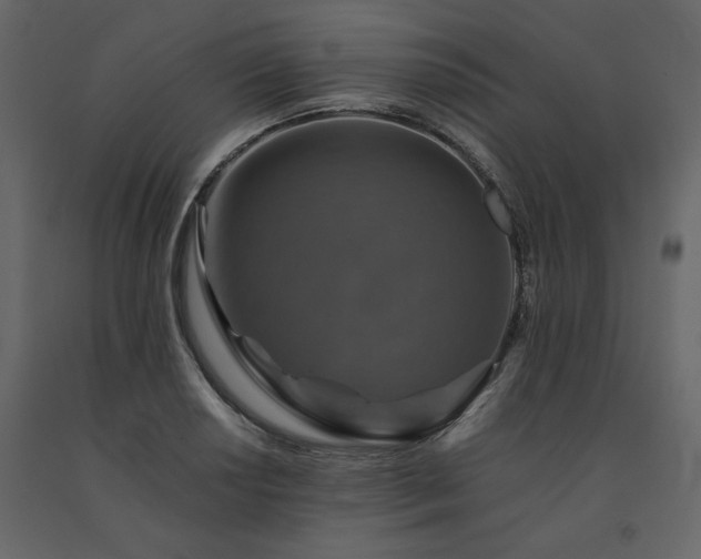X0000091551034200708241750