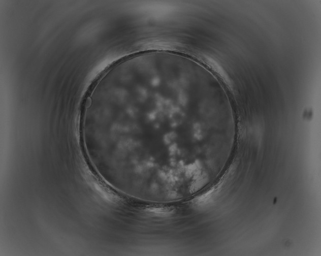 X0000091551035200708241750