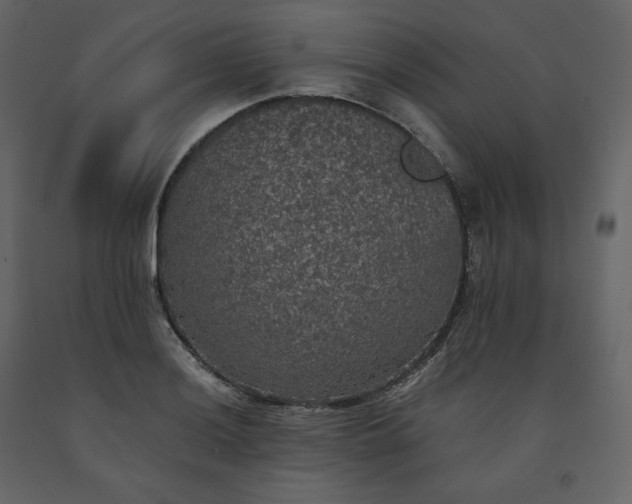 X0000091551036200708241751