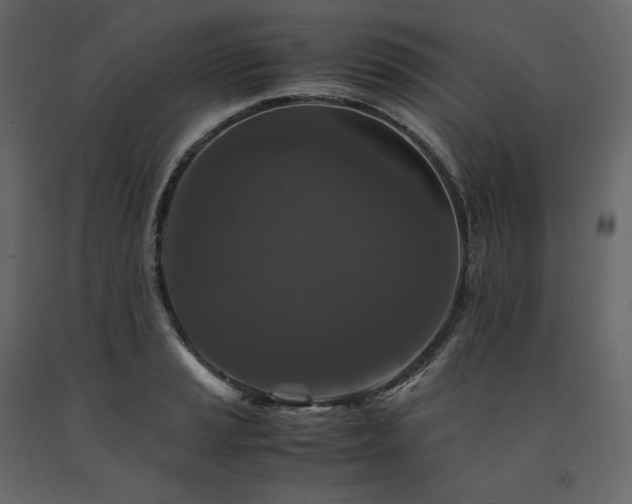 X0000091551037200708241751