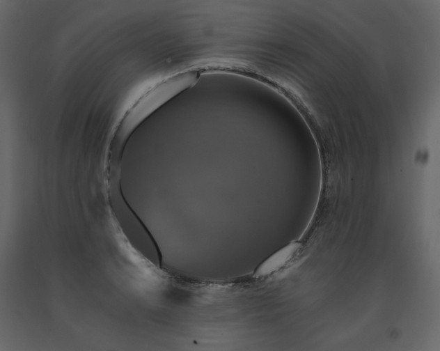 X0000091551038200708241751