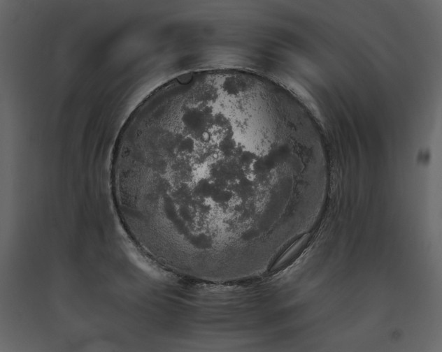 X0000091551039200708241751
