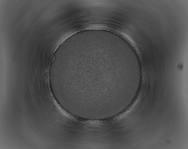 X0000091551041200708241751