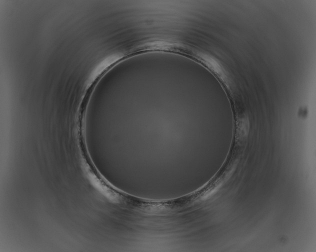 X0000091551042200708241751