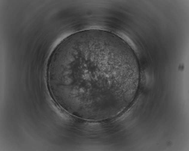 X0000091551043200708241751