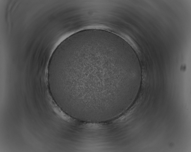 X0000091551044200708241751