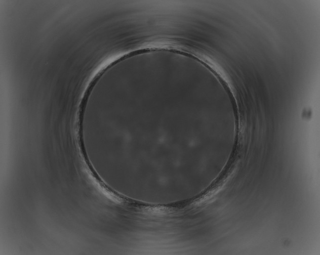 X0000091551045200708241751