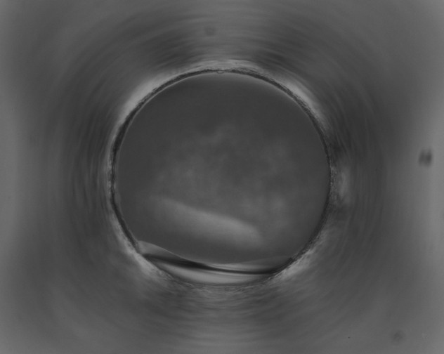 X0000091551046200708241751
