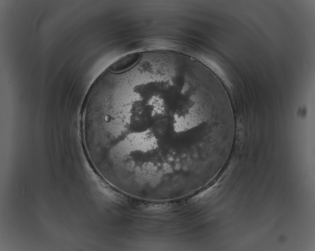 X0000091551047200708241751