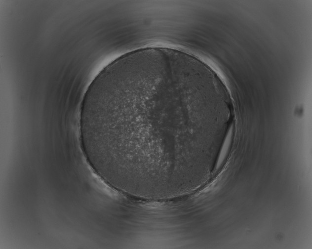 X0000091551048200708241751